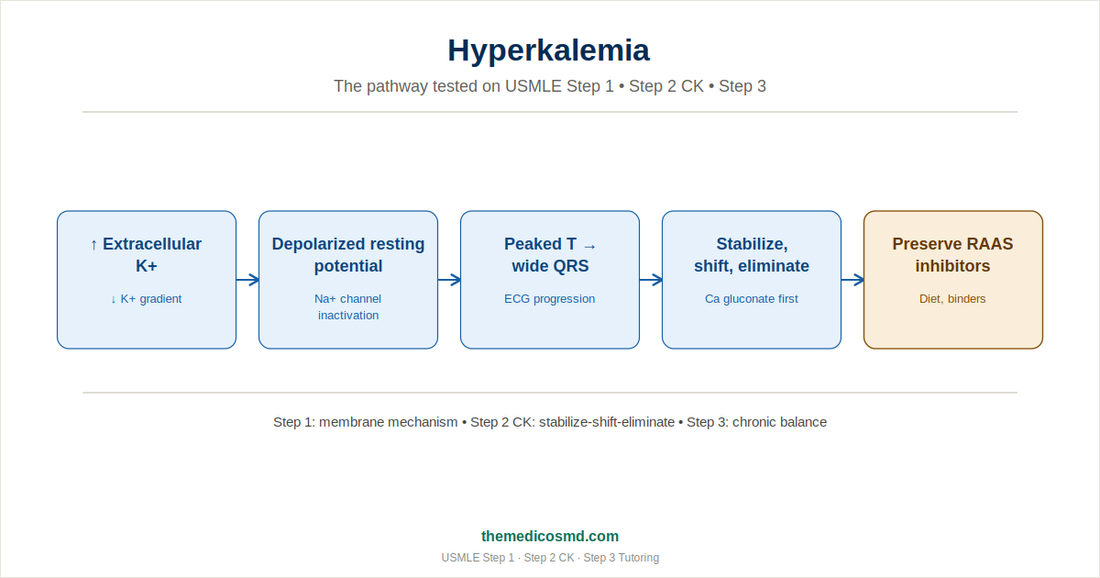 Hyperkalemia: The Complete USMLE Guide for Step 1, Step 2 CK, and Step 3