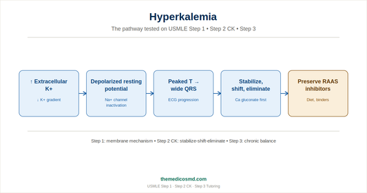 Hyperkalemia: The Complete USMLE Guide for Step 1, Step 2 CK, and Step 3