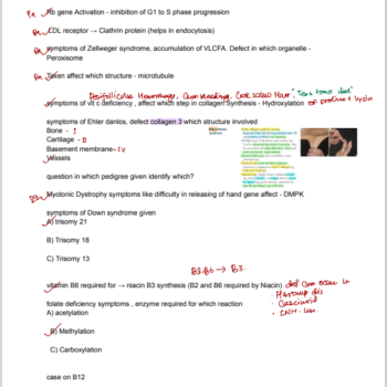 USMLE STEP 1 Recalls 2024-2025 Complete Pool