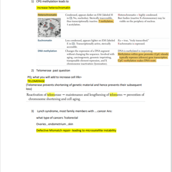 USMLE STEP 1 Recalls 2024-2025 Complete Pool